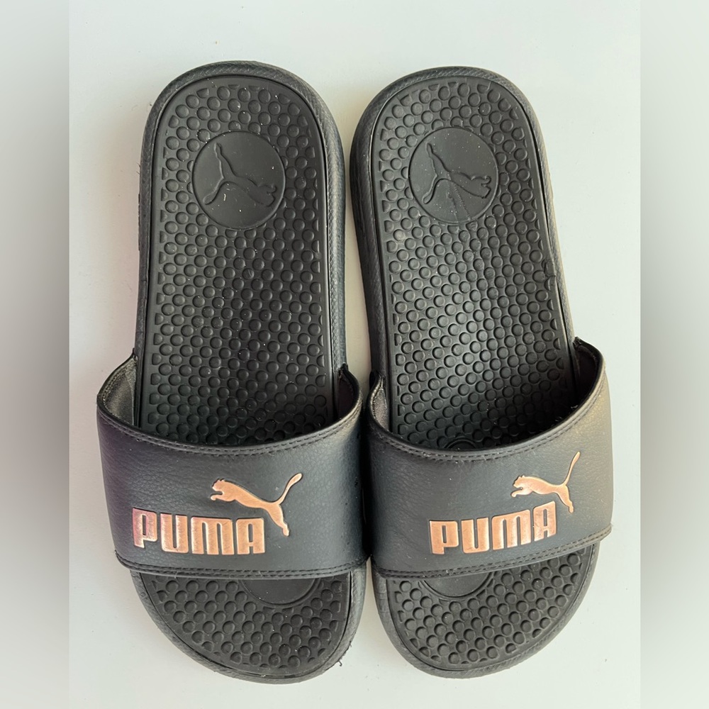 Puma slides